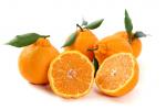 Jejus fruitful citrus history